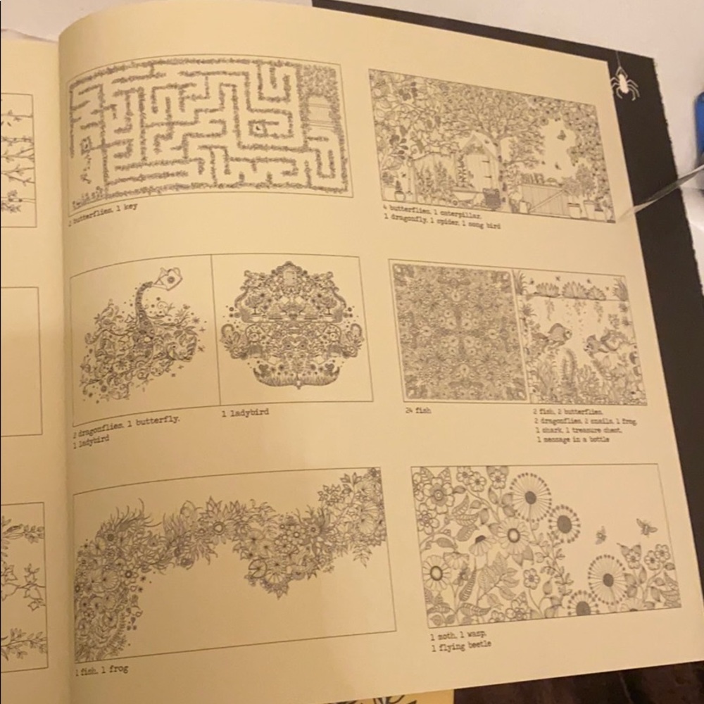 Adult Coloring book - Picture 4 of 4